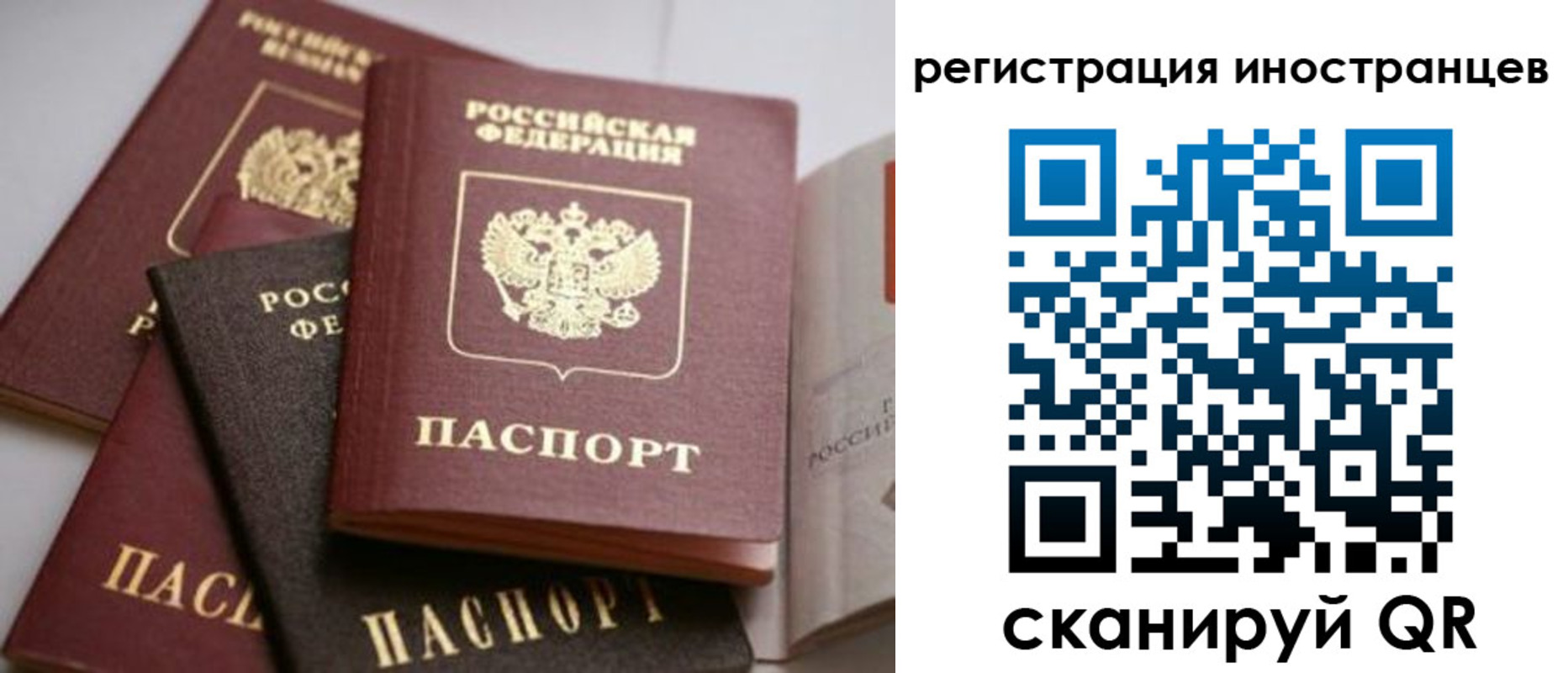 форма 3 в Грозном